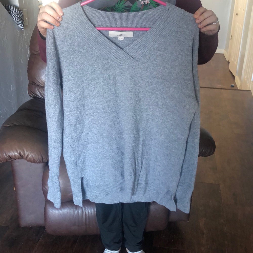 Ann Taylor Loft sweater